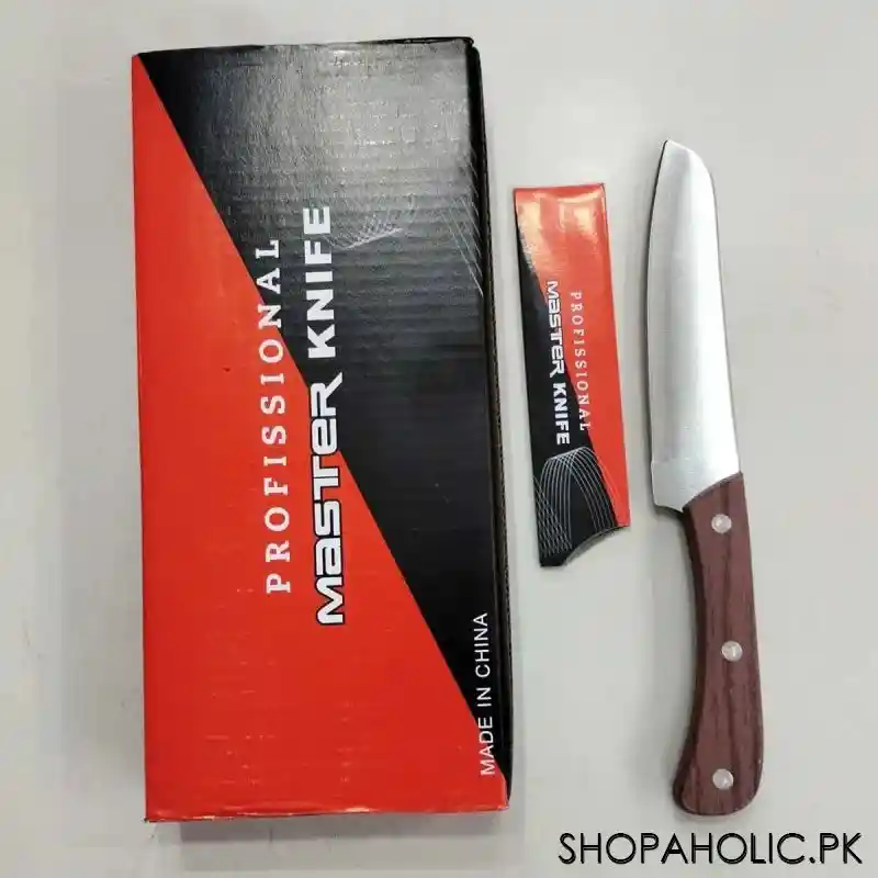 PROFISSIONAL MASTER KNIFE